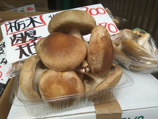 Identifying Japanese mushrooms in a convenience store