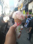 Nieves - watermelon and pineapple ice creams.