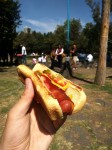 Hot-dog in Mexico City.