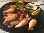 Whole grilled squids – Dobra river