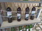 Home-made organic products in Montenegro - red wine
