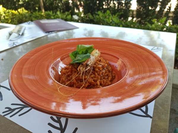 Red rice risotto with prawns and parmesan cheese Red rice risotto with prawns and parmesan cheese