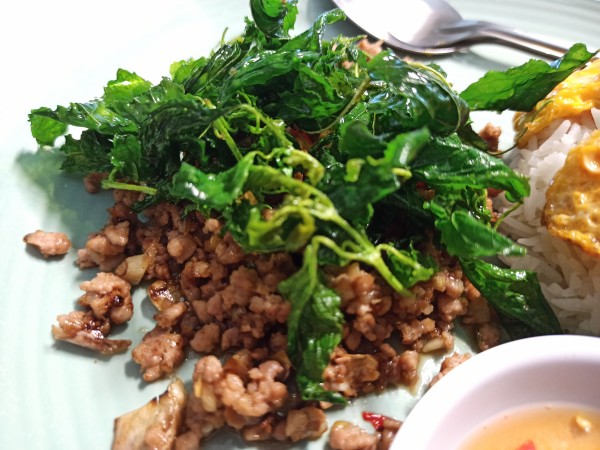 Omelet on rice with fried crispy basil leaves and minced pork meat