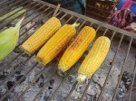 Grilled corn - elote asado, Guatemala - Elote dulce vs elote asado - boiled vs grilled sweet corn