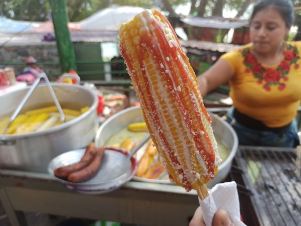 Elote dulce vs elote asado - boiled vs grilled sweet corn