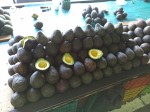 TOP 10 Guatemalan fruits for visiting Tikal and Uaxactun Mayan ruins - Avocado