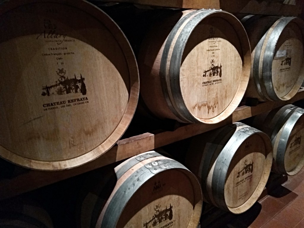 Château Kefraya - oak barrels for wine.