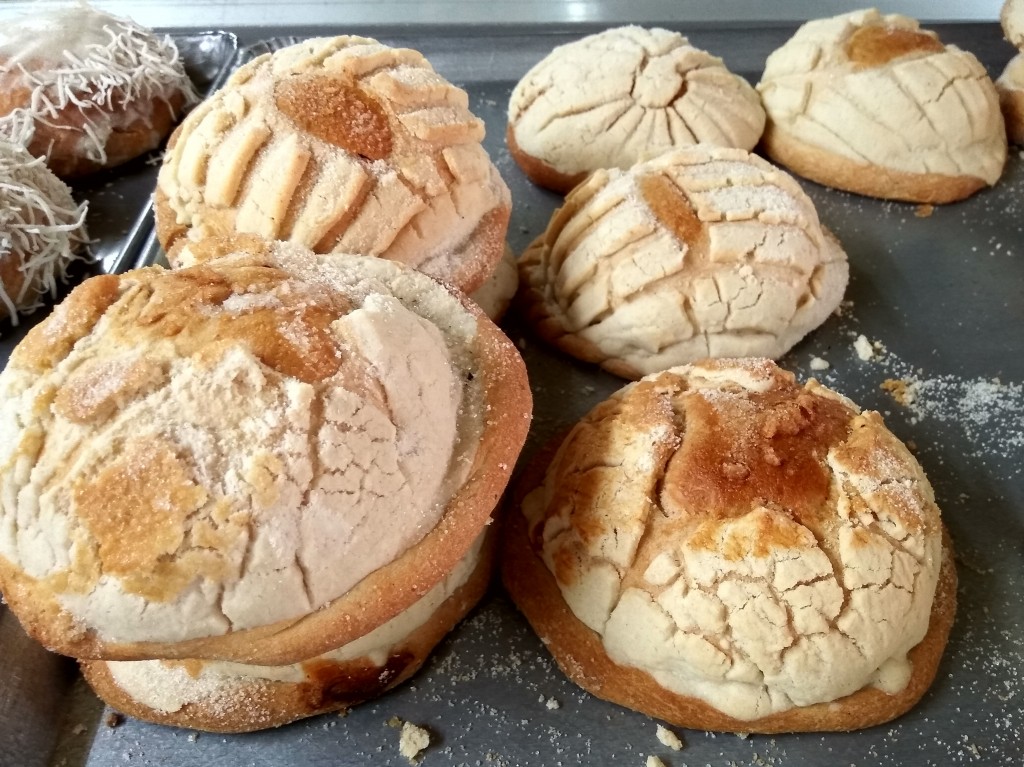 Conchas - a Mexican Sweet Bread.