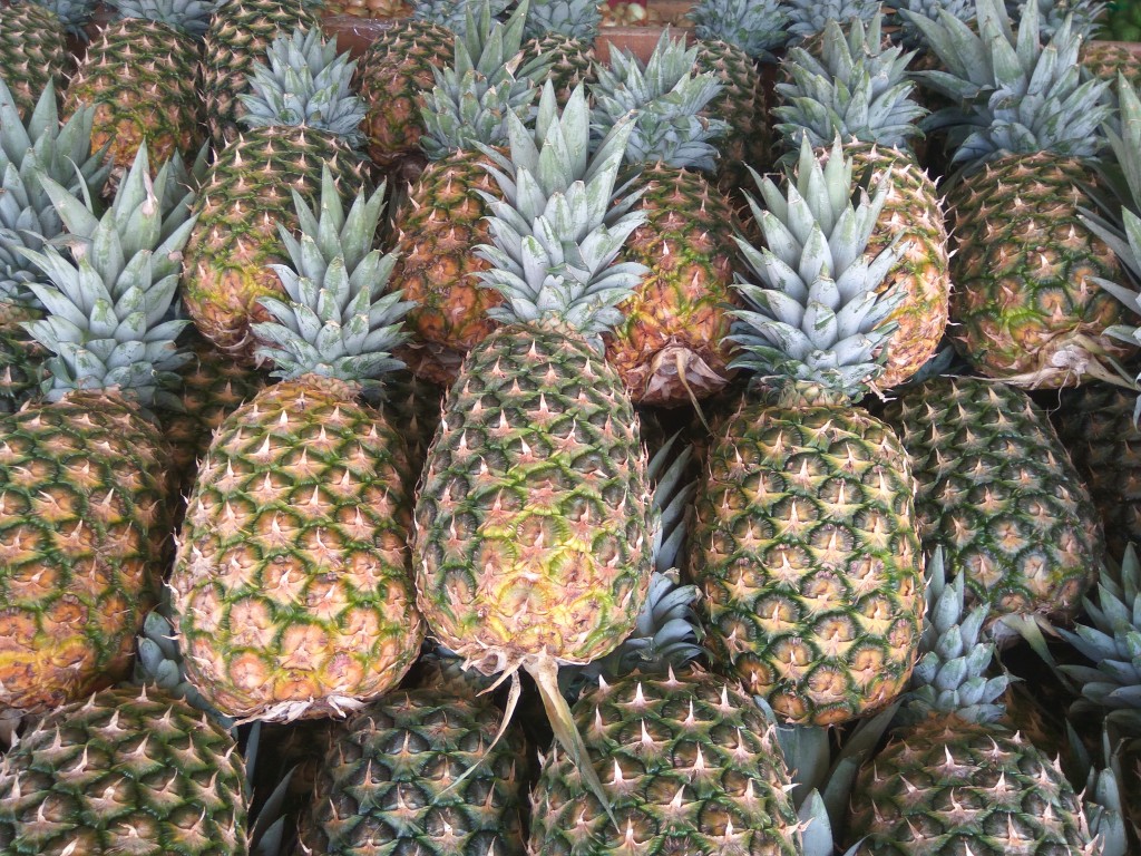 Pineapples from Costa Rica.