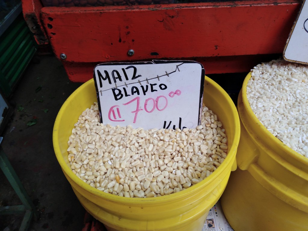 White corn - maiz cascado - Costa Rica