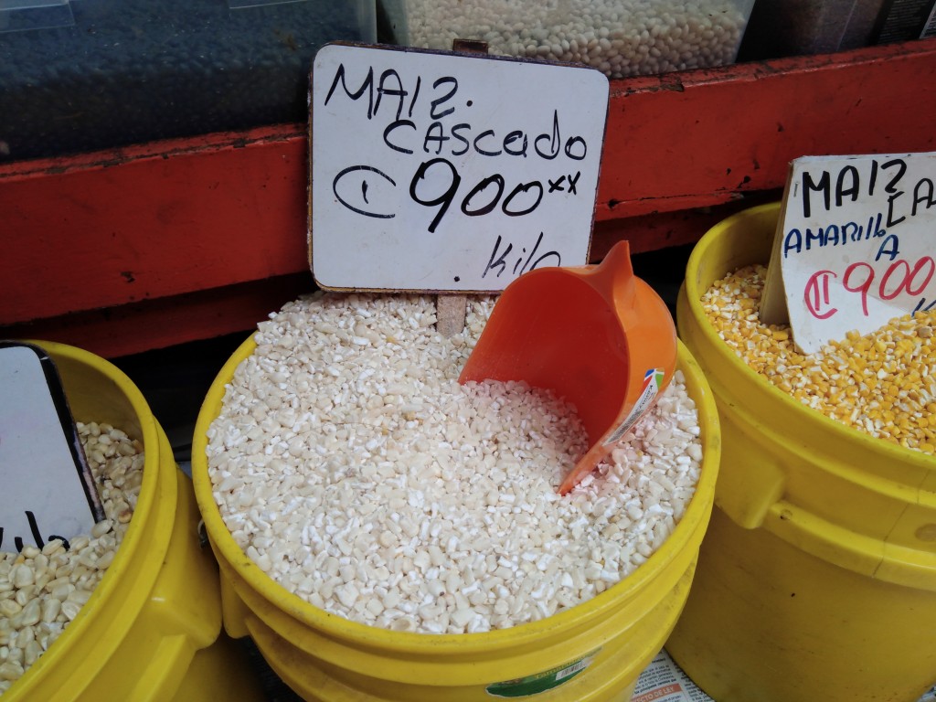 Corn - maiz cascado - Costa Rica