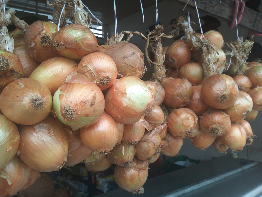 Onion - Costa Rica