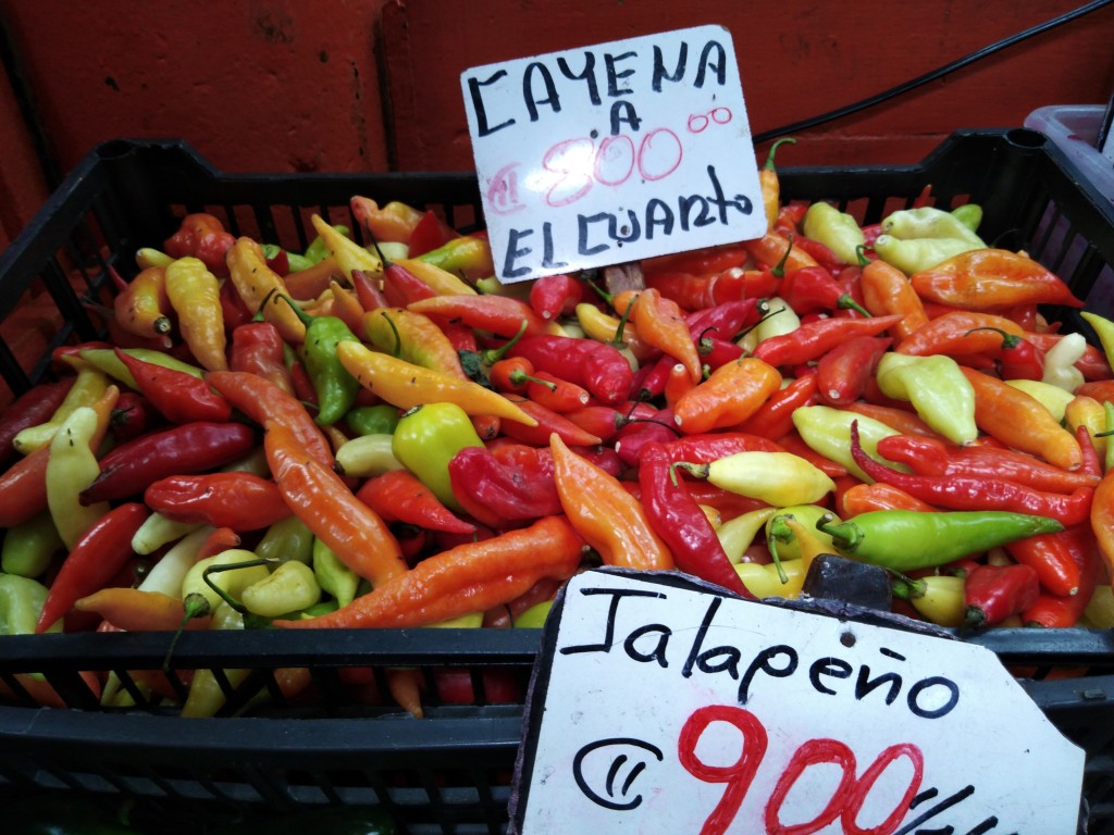 Peppers - pimienta and chile  - Costa Rica