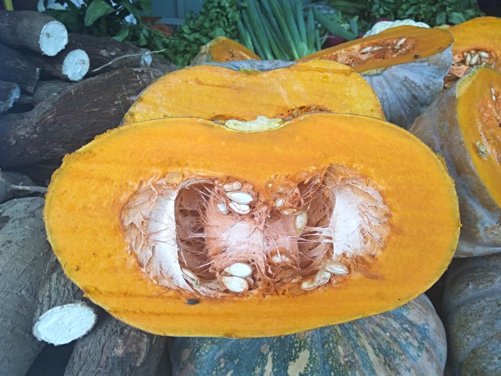 Pumpkin - Costa Rica