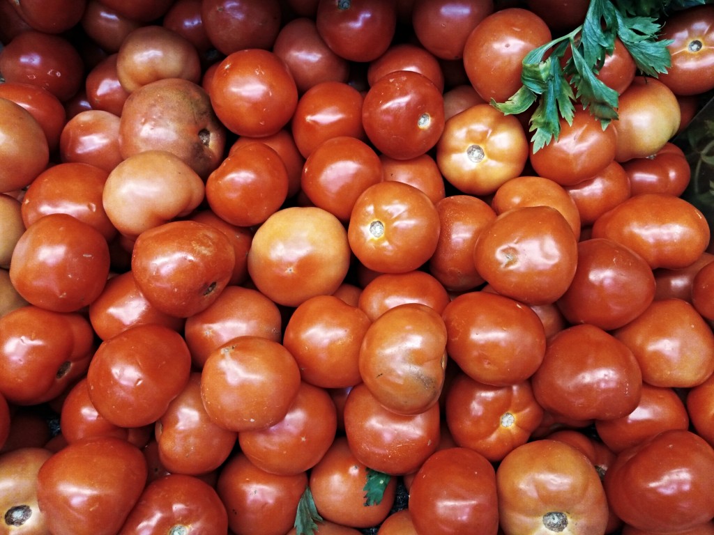 Tomatoes - Costa Rica