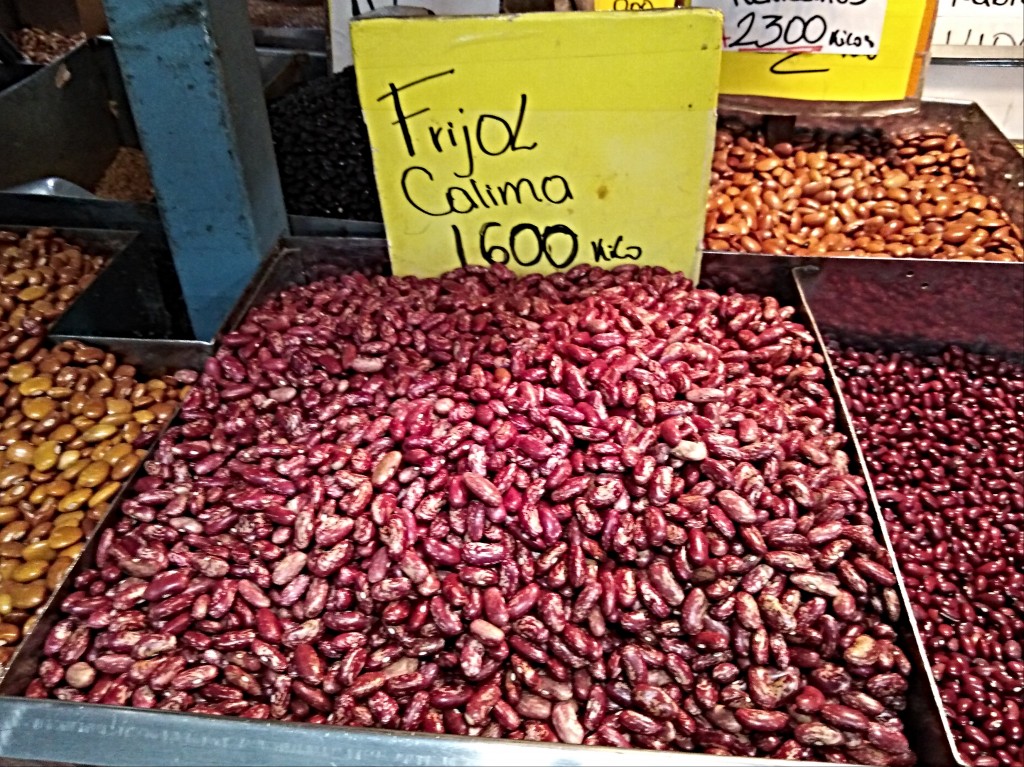 Calima beans - Costa Rica