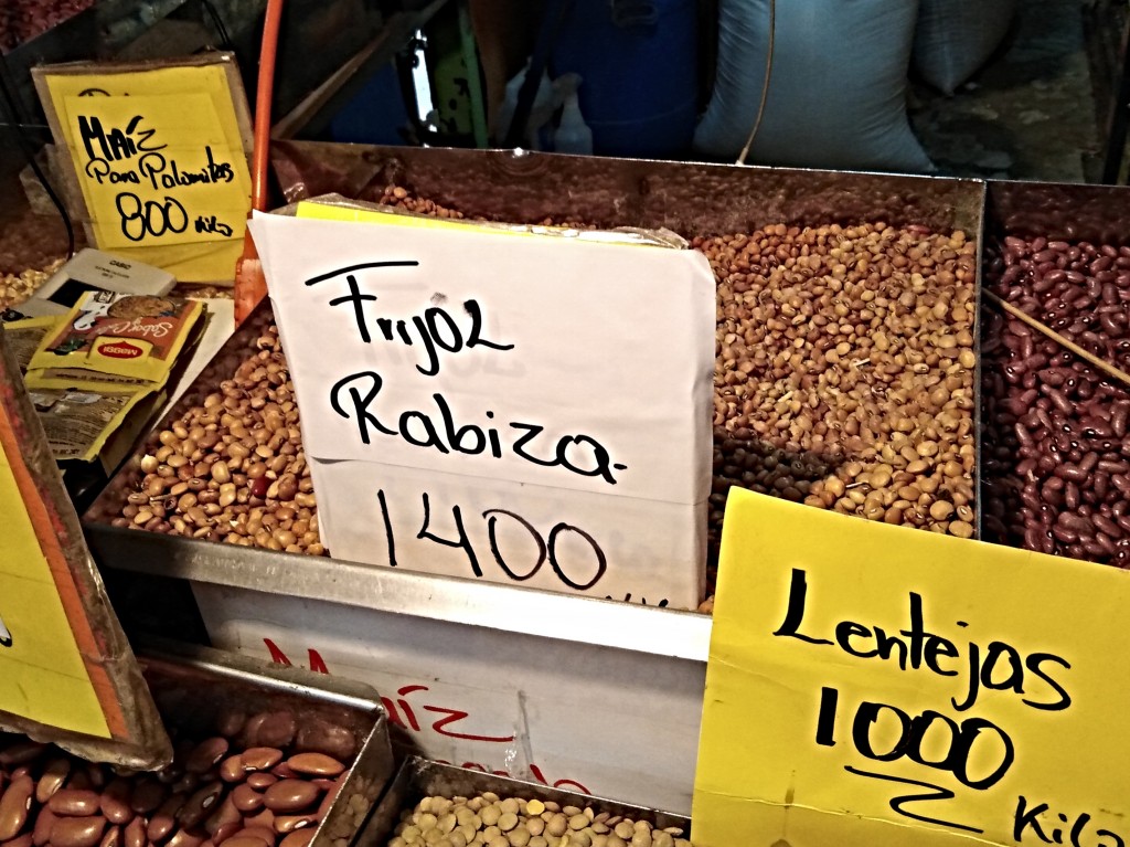Rabiza beans - Costa Rica