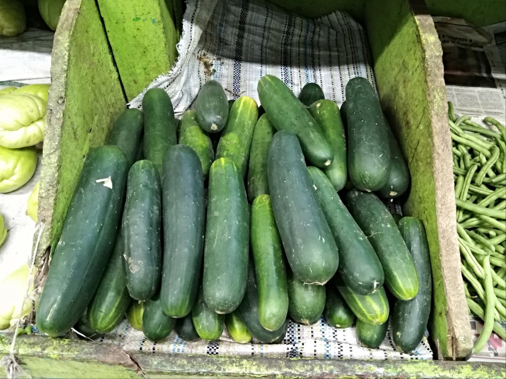 Cucumbers - Costa Rica
