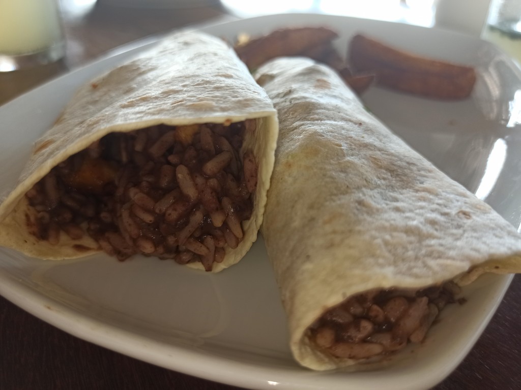 Burrito con carne – pork burrito