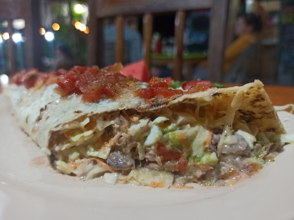 What is more in the burrito apart from the pork meat? What is more in the burrito apart from the pork meat?