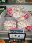 Japanese mushrooms.