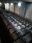 Château Musar - wine barrels.