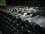 Château Musar - cellars with wine bottles covered by cobwebs.