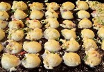 Takoyaki - Okayama.