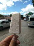 Coconut ice creams with small coco flakes inside.