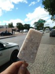 Coconut ice creams with small coco flakes inside.