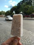 Coconut ice creams with small coco flakes inside.