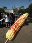 Elote - cooked corn on the cob served with lime juice, chilli and salt.