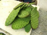 Nopal - prickly pear.