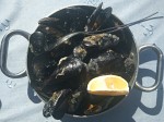 Mussels in breadcrumps - Mussels alla buzara (white)