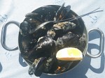 Mussels in breadcrumps - Mussels alla buzara (white)