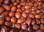 Jujube – red dates or Chinese date