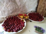 Jujube – red dates or Chinese date