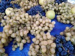 Grapes