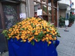 Local orange seller, Konya