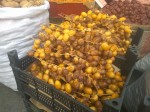 Turkish dates