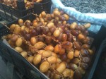 Turkish dates