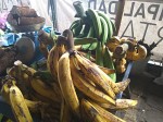 Plantains