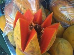 Papaya
