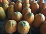Papaya