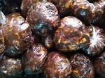 Tamarind
