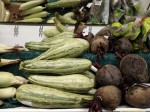 Zucchini
