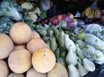 Melon