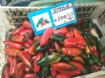 Red Peppers