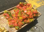 Peppers