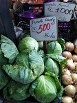 cabbage